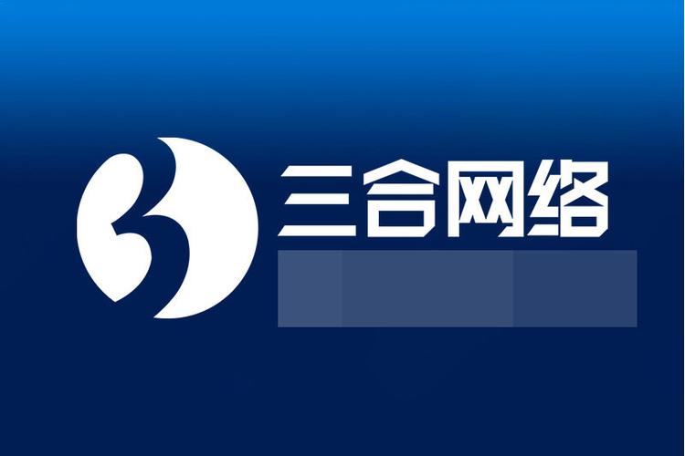 三合网络应用程序开发定制